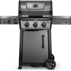 Freestyle 365 DSIB Napoleon